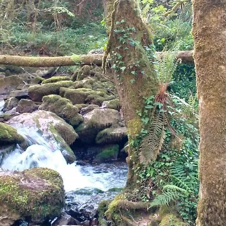 Tiu Xico Kır Evi Tereñes